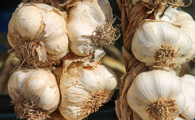 How to Use Garlic for Weight Loss: Simple Home Remedies