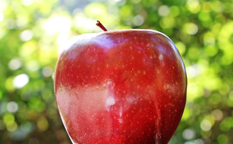 How to Use Apple Cider Vinegar for Weight Loss Naturally