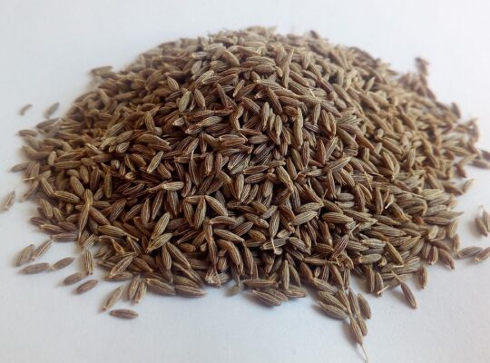 Can Drinking Jeera Water Help You Lose Weight Faster?