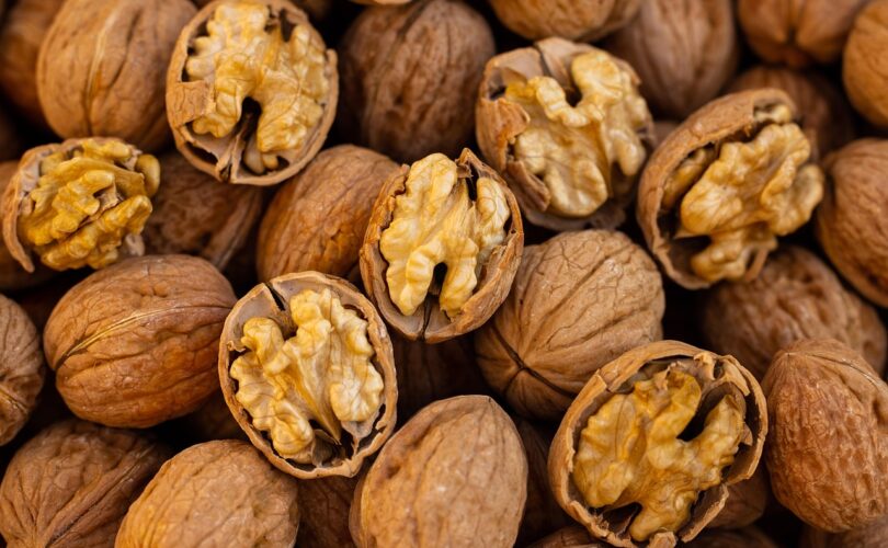 Best Plant-Based Protein Alternatives