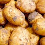 Beginner’s Guide to Carb Counting for Diabetes Control