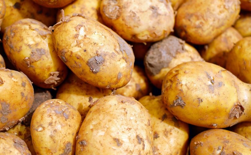 Beginner’s Guide to Carb Counting for Diabetes Control