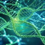 The Role of Genetics in Juvenile Diabetes