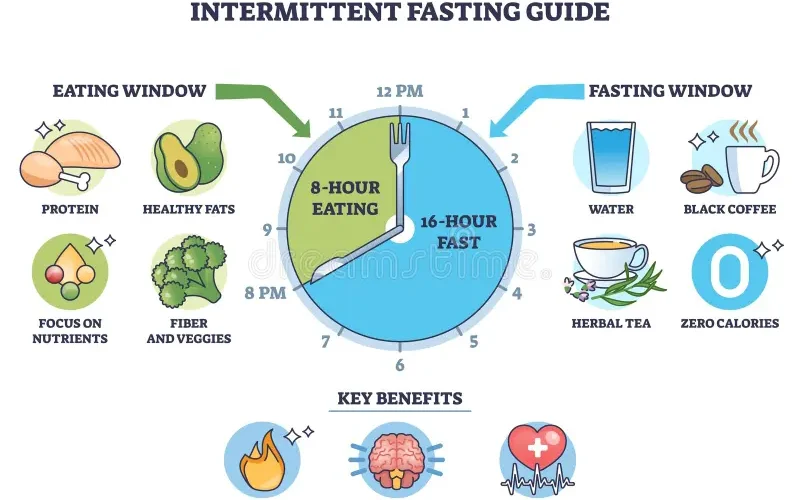 What is the best Intermittent Fasting schedule for beginners?